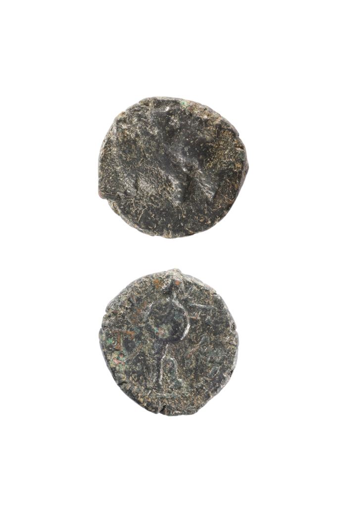 Χάλκινο νόμισμα Απτέρας