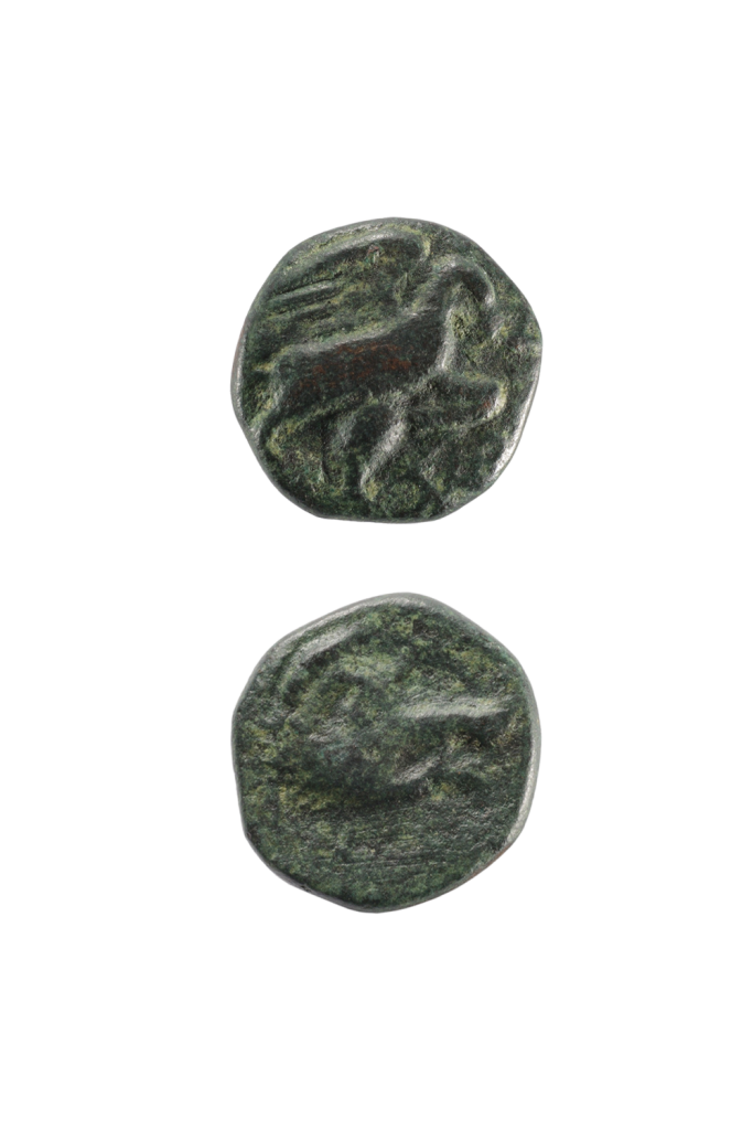 Χάλκινο νόμισμα Λύττου